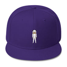 Panda Trooper Wool Blend Snapback