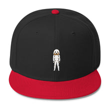 Panda Trooper Wool Blend Snapback